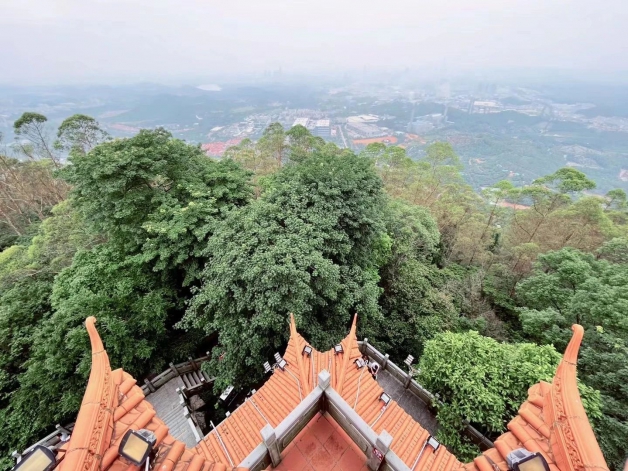 從心出發(fā)，融入自然
